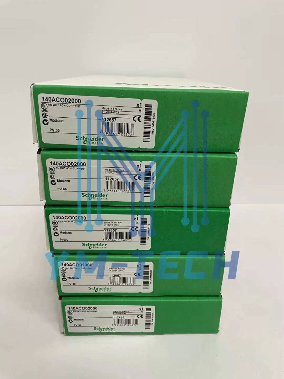 Schneider 140ACO02000 Analog Output [1]