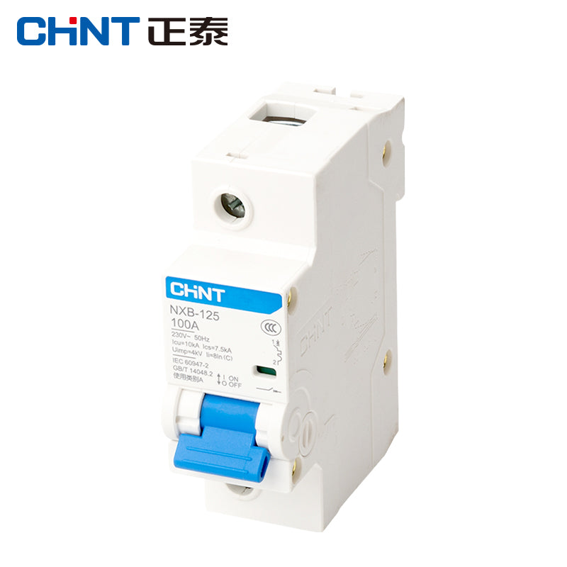 Chint NXB-125-1P-100A air switch overload air switch small circuit breaker DZ47 upgraded version 1P C100