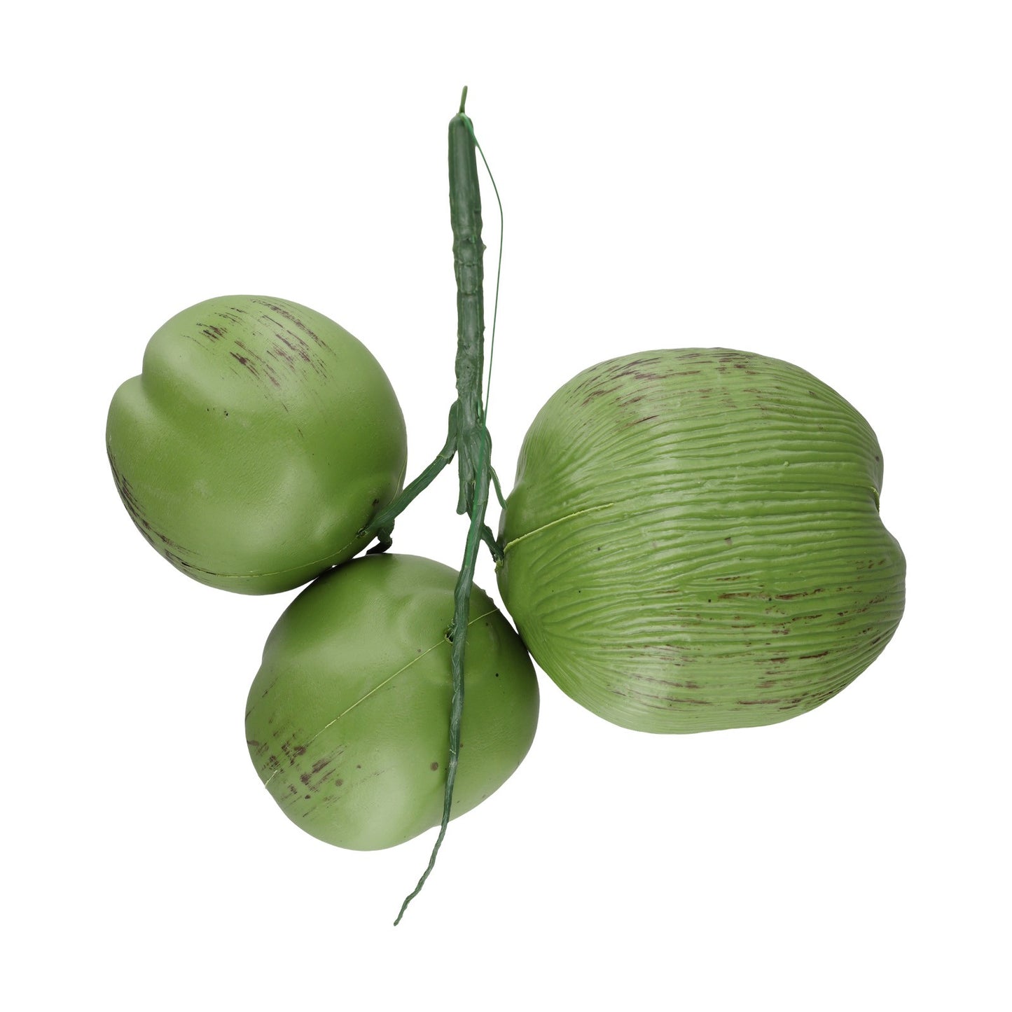 Note Package Content Farmhouse Decor Artificial Coconut Realistic Appearance