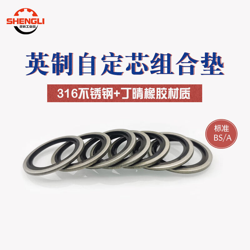 Saint-Gross Premium Galvanized Combination Gasket, Imperial 316 Stainless Steel Nitrile Oil Pipe Sealing Ring, G3/4 [5 pieces]