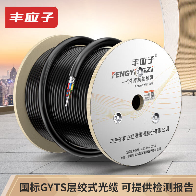 Fengyingzi GYTS stranded optical fiber cable, armored 72-core single-mode overhead/duct network cable, outdoor, 100 meters, FYZ-GYTS-72B1