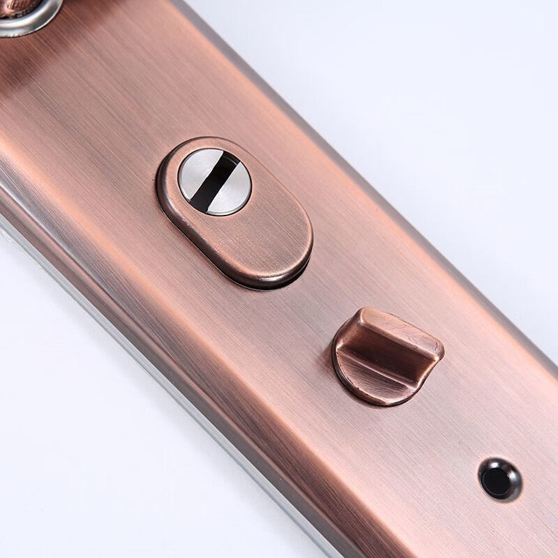 Basic door handles, security door lock handles, anti-pry entrance door handles, red antique (lock body and cylinder not included).