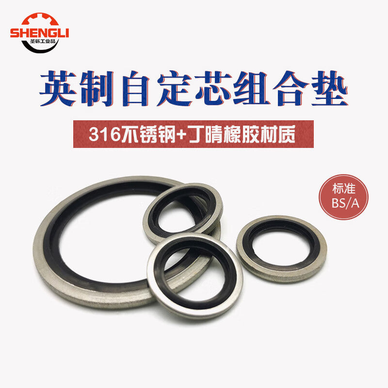 Saint-Gross Premium Galvanized Combination Gasket, Imperial 316 Stainless Steel Nitrile Oil Pipe Sealing Ring, G3/4 [5 pieces]