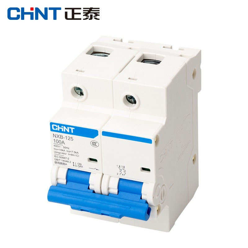 Chint NXB-125-2P-C100 Industrial Circuit Breaker Air Switch