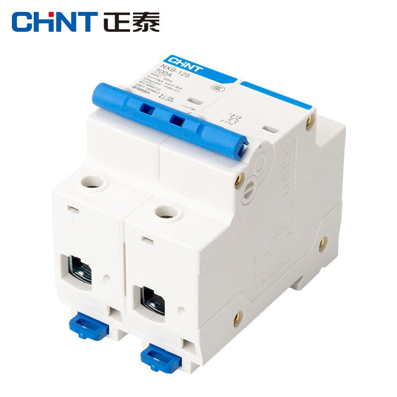 Chint NXB-125-2P-C100 Industrial Circuit Breaker Air Switch