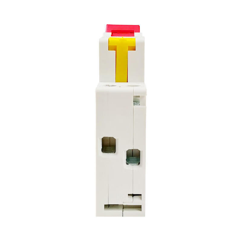 Delixi Electric leakage protection miniature circuit breaker; DZ47PLES 1P+NC 16A