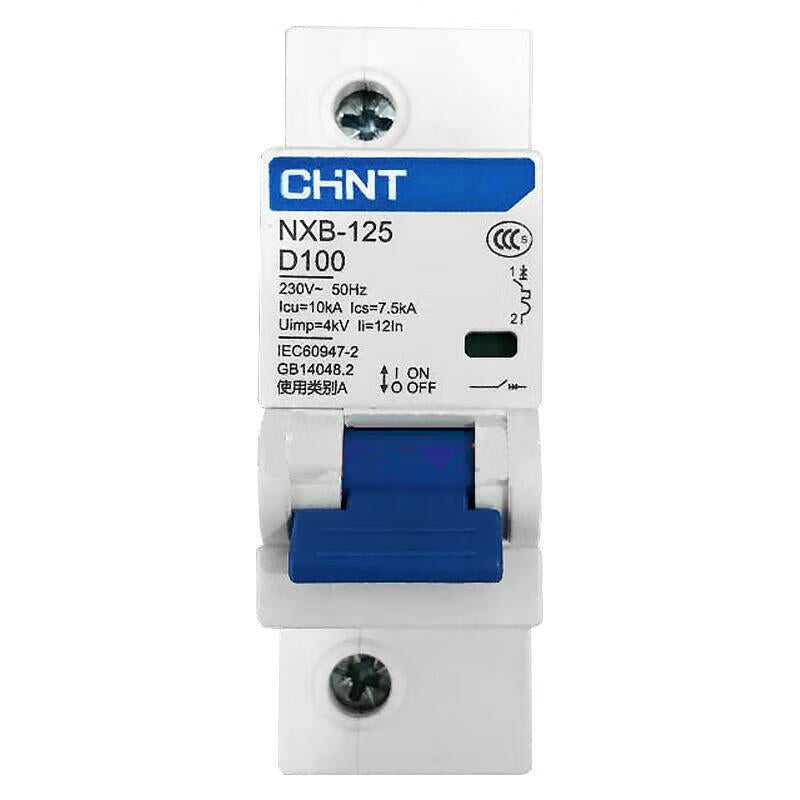 Chint small circuit breaker; NXB-125 1P D100
