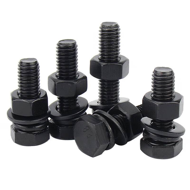 Kaying Black Grade 8.8 External Hex Bolt Nut Flat Washer Spring Washer 4-Piece Set M16*160 (5 sets)