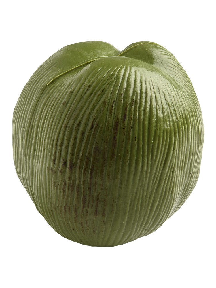 Note Package Content Farmhouse Decor Artificial Coconut Realistic Appearance