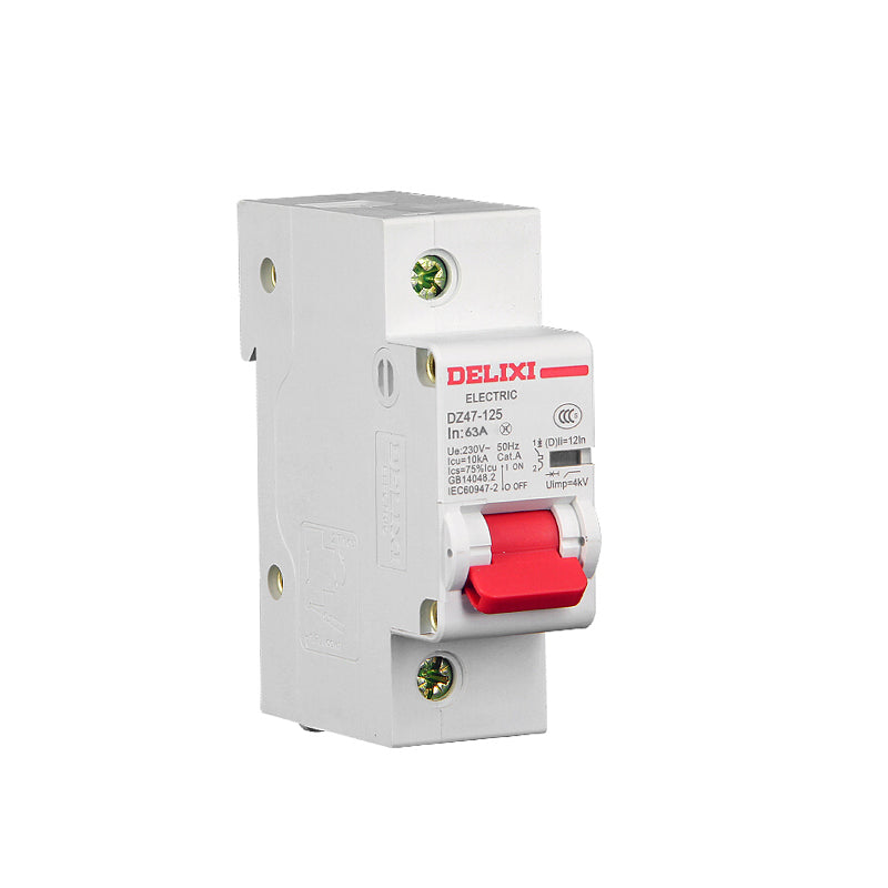 Delixi DZ47-125 high current 1P125A D type small circuit breaker air switch (customized)