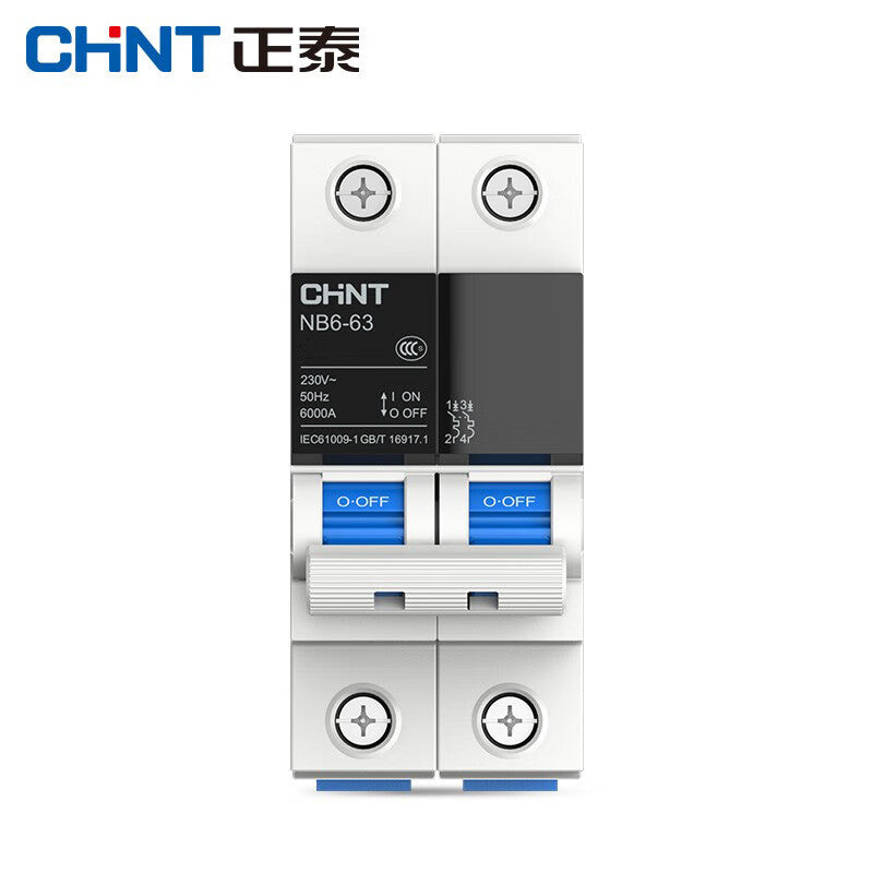 Chint NB6-63 2P C20 Circuit Breaker (1 piece)