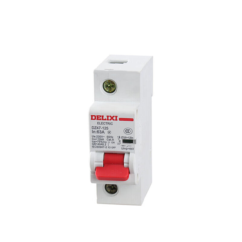 Delixi DZ47-125 high current 1P80A D type small circuit breaker air switch (customized)