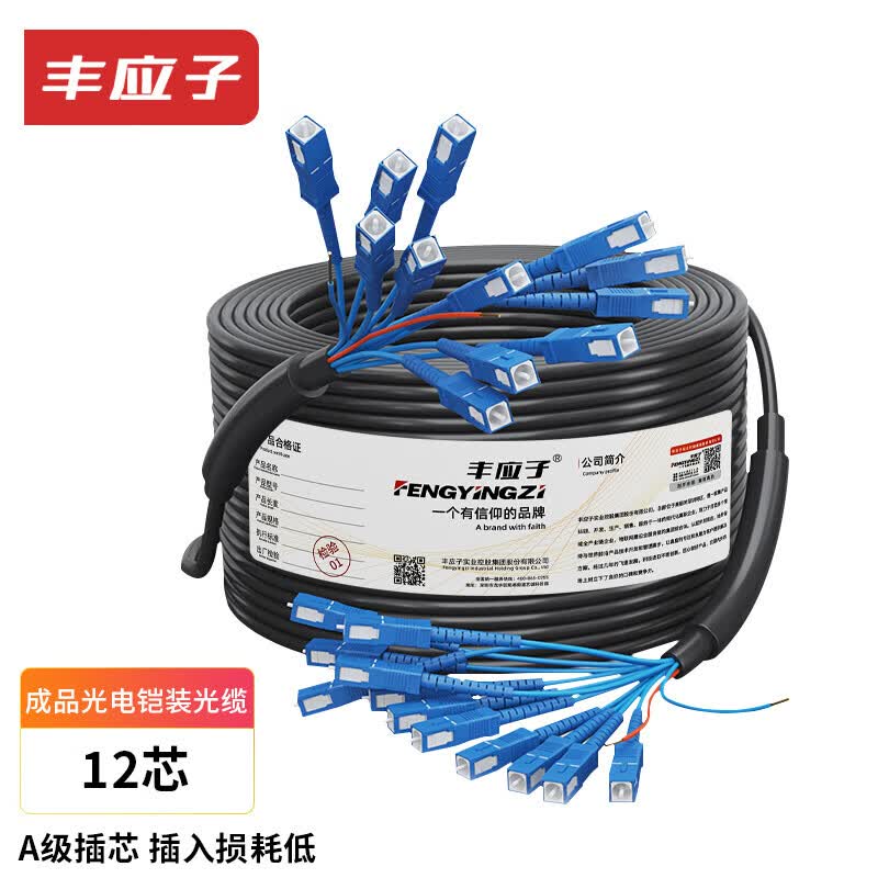 Fengyingzi Single-mode Armored Optical Cable with Integrated Power Supply (12-core SC fiber + 2-core 1.5mm power cable, 100 meters) FYZ-GYXTW-12B1-2*1.5