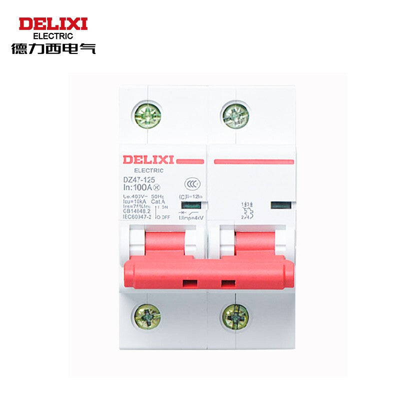 DELIXI ELECTRIC AC miniature circuit breaker high current leakage protection circuit breaker DZ47-125 2P type C 100A