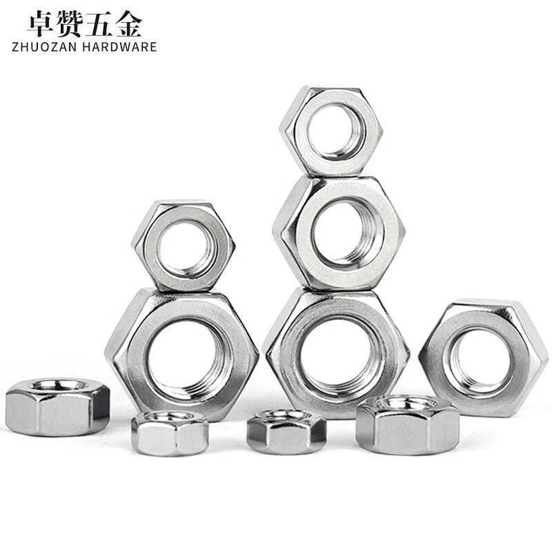 Zhuozan 304 Stainless Steel Hex Screws and Nuts, External Hex Nuts M8 (100 pieces)