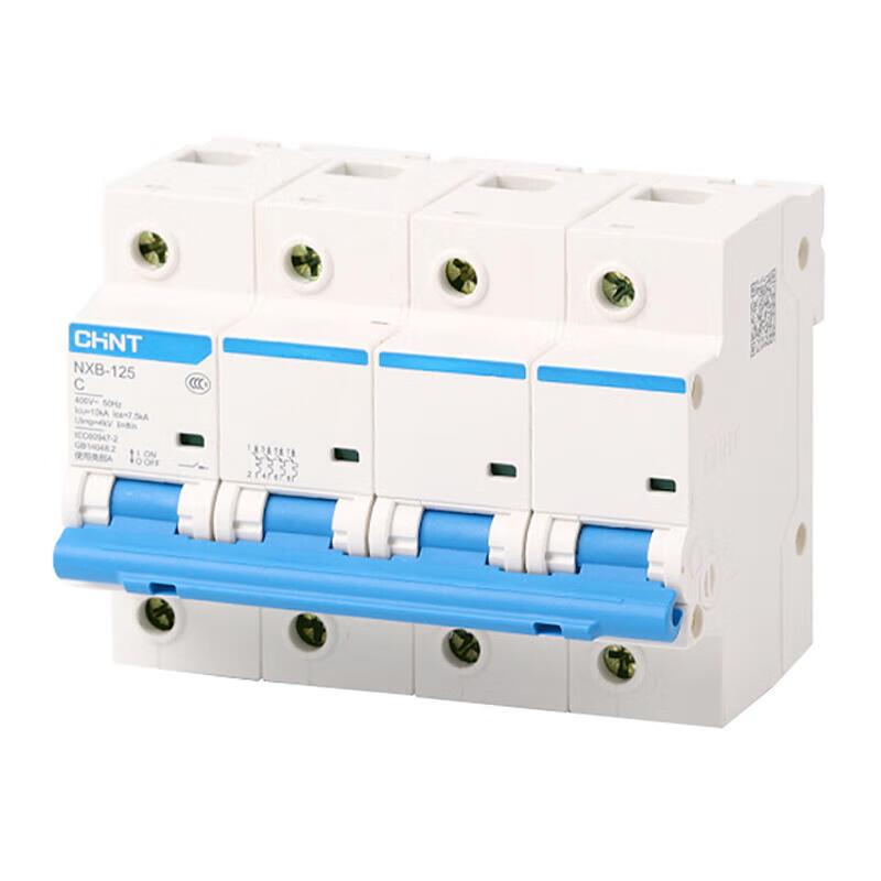 Chint NXB-125 4P C125 Small Circuit Breaker