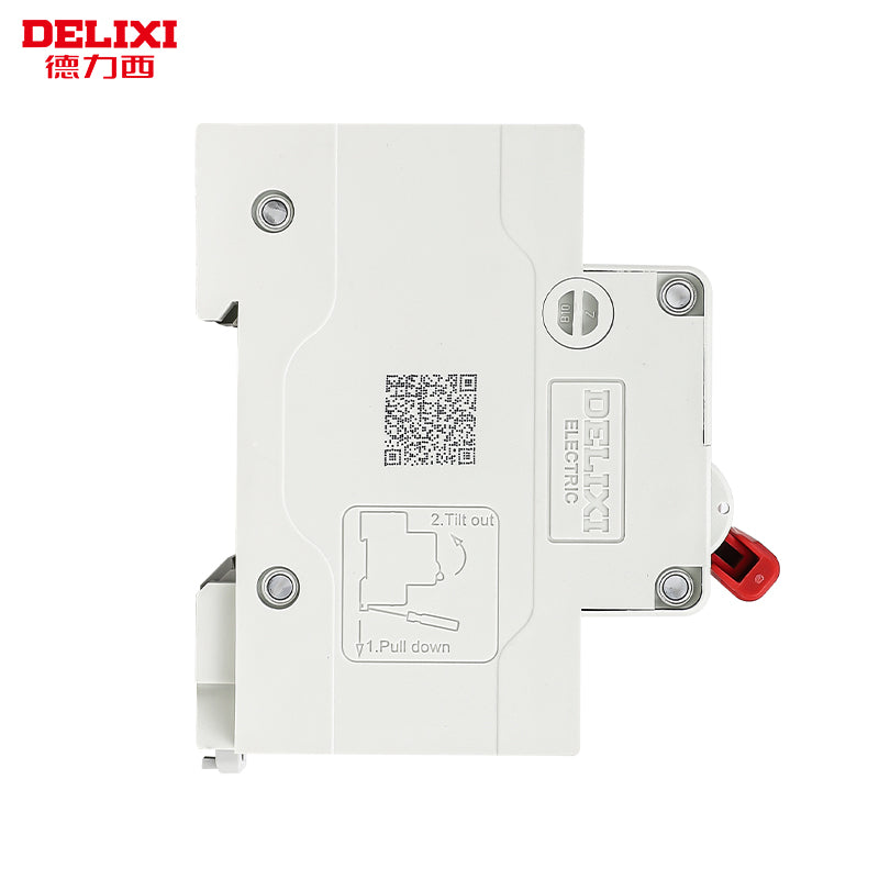 DELIXI DZ47S-125 2P D80 Air Circuit Breaker Main Switch