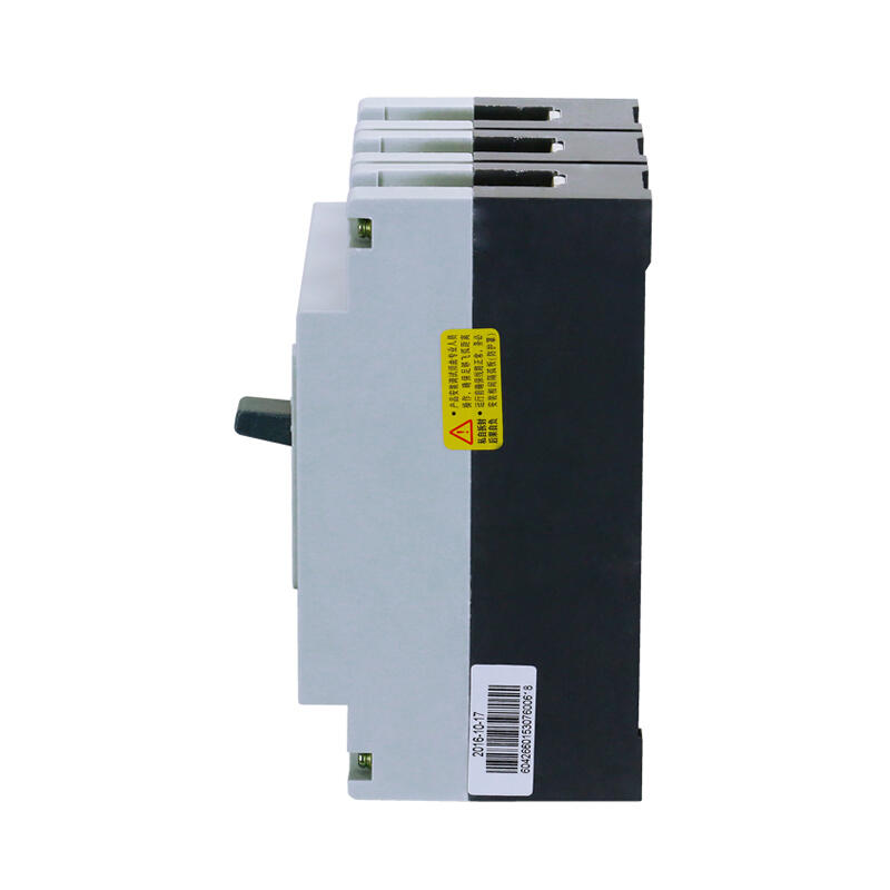 Chint NM10-250/330 Molded Case Circuit Breaker 200A