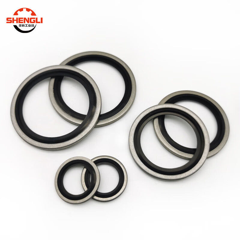 Saint-Gross Premium Galvanized Combination Gasket, Imperial 316 Stainless Steel Nitrile Oil Pipe Sealing Ring, G3/4 [5 pieces]