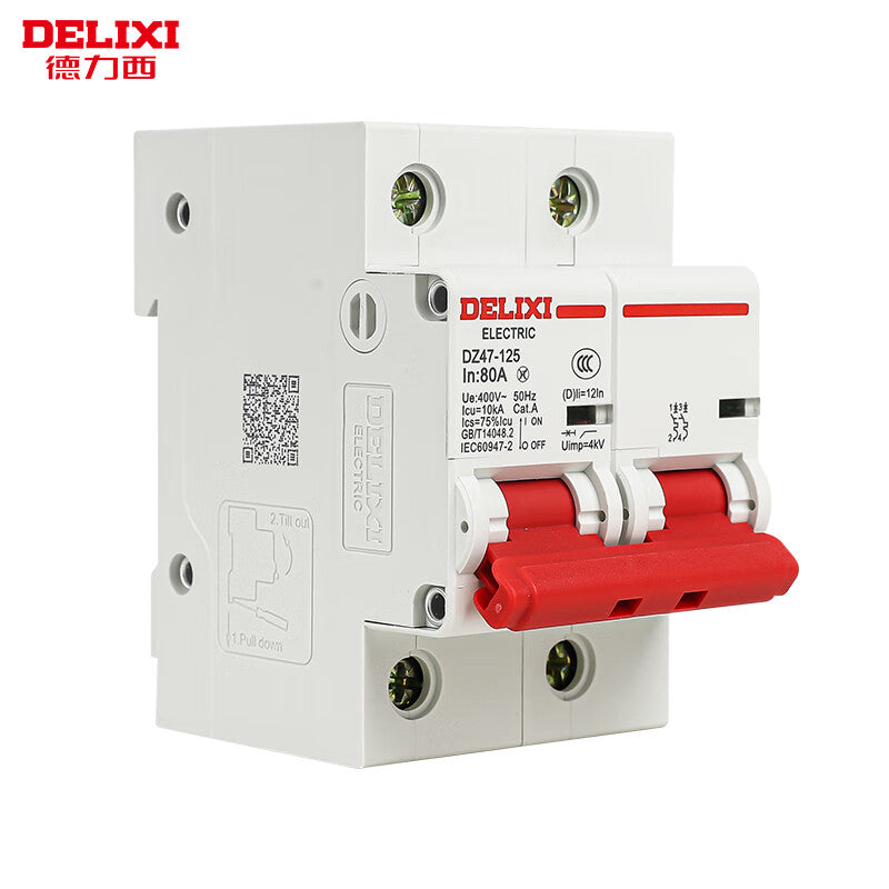 DELIXI DZ47S-125 2P D80 Air Circuit Breaker Main Switch