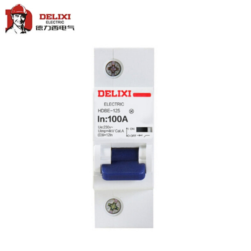 Delixi HDBE-125 high current circuit breaker HDBE-125 1P Type C 125A TM