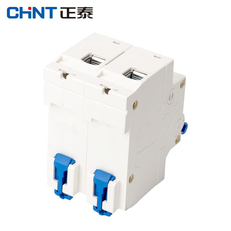 Chint NXB-125-2P-C100 Industrial Circuit Breaker Air Switch