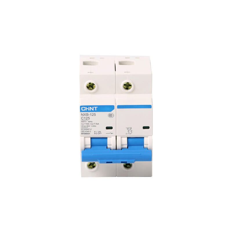 Chint NXB-125 small circuit breaker; NXB-125 2P C80