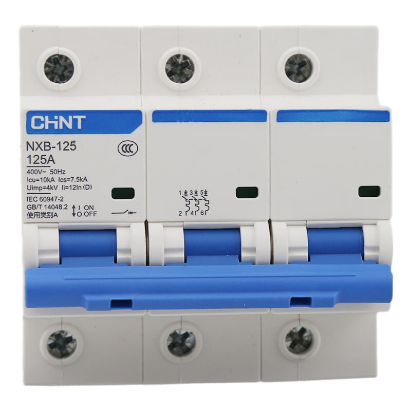 Chint NXB-125 3P D125 Small Circuit Breaker
