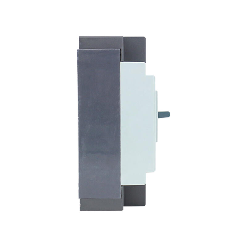 Chint DZ15-100/3901 100A Molded Case Circuit Breaker