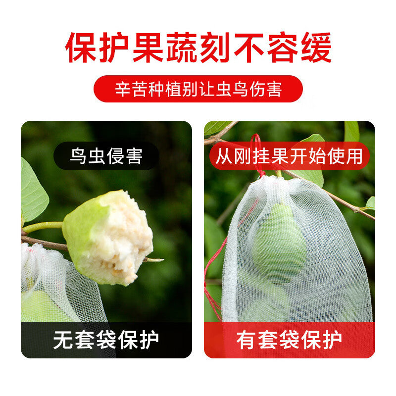 Bingyu Fruit Bags, Insect-proof and Bird-proof Mesh Bags for Strawberries, Grapes, and Peaches, Breathable Protective Bags, Mesh Bags, 55*35cm (100 bags) BYyn-854