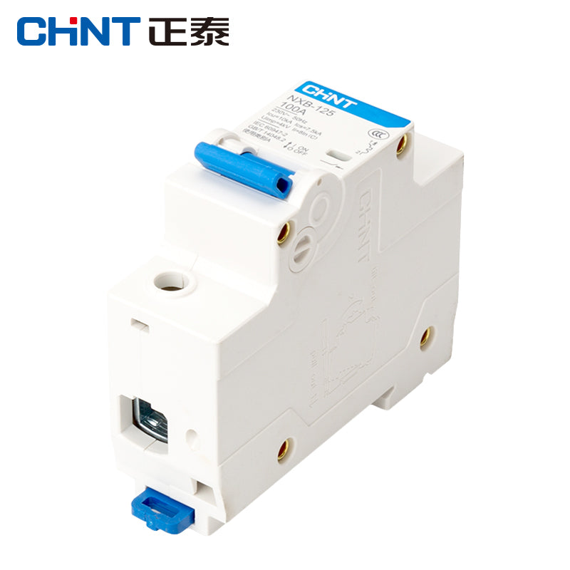 Chint NXB-125-1P-100A air switch overload air switch small circuit breaker DZ47 upgraded version 1P C100