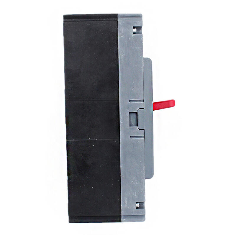 Delixi CDM3-400F Molded Case Circuit Breaker 315A