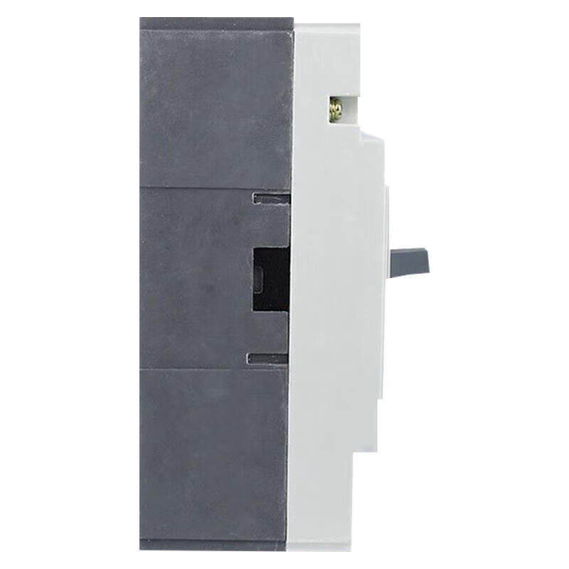 Delixi Electric CDM1-125L/3300 125A Circuit Breaker