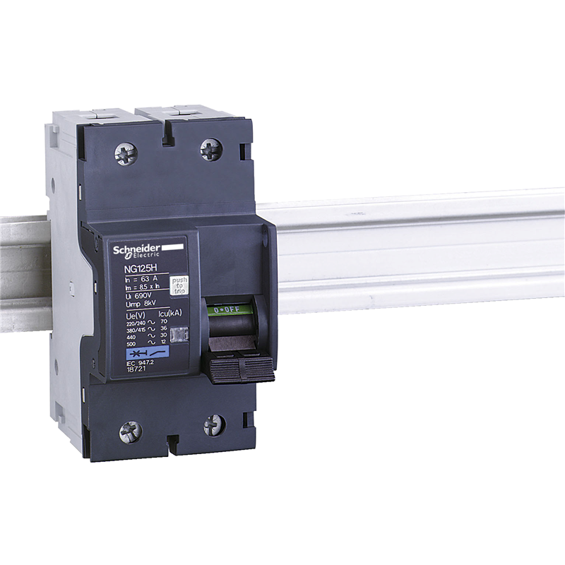 Schneider Electric NG125H Circuit Breaker 80A 2-Pole