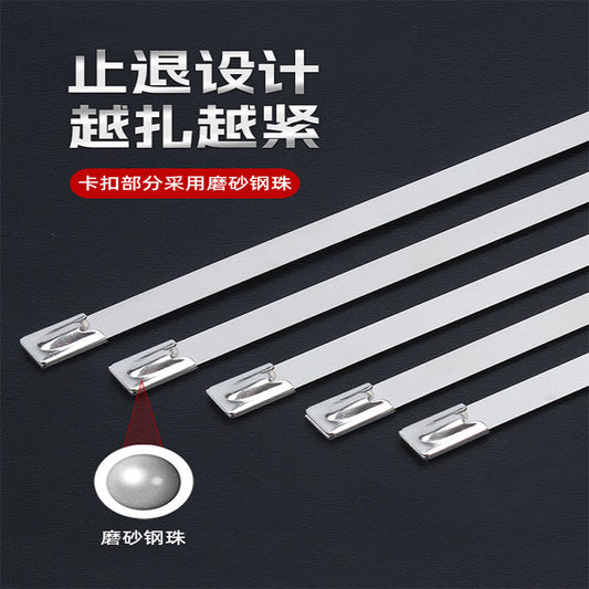 Guwanji GWJ-173 Metal Cable Ties, 304 Stainless Steel, Self-Locking, Tightening, Outdoor High Temperature Resistant, Marine Binding Metal Steel Strips, 7.9x600mm [10 pieces]