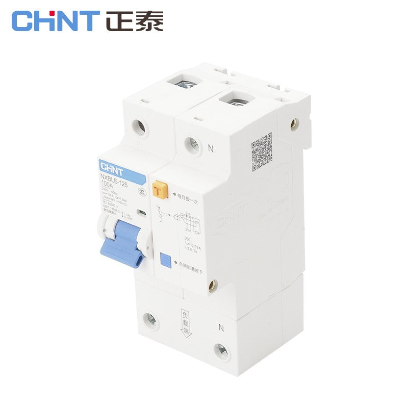 Chint NXBLE-125-2P Circuit Breaker with Leakage Protection