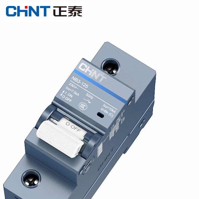 Chint NB3-125 Series 1P C125A Circuit Breaker