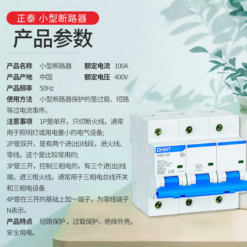 Chint NXB-125 3P 100A Small Circuit Breaker