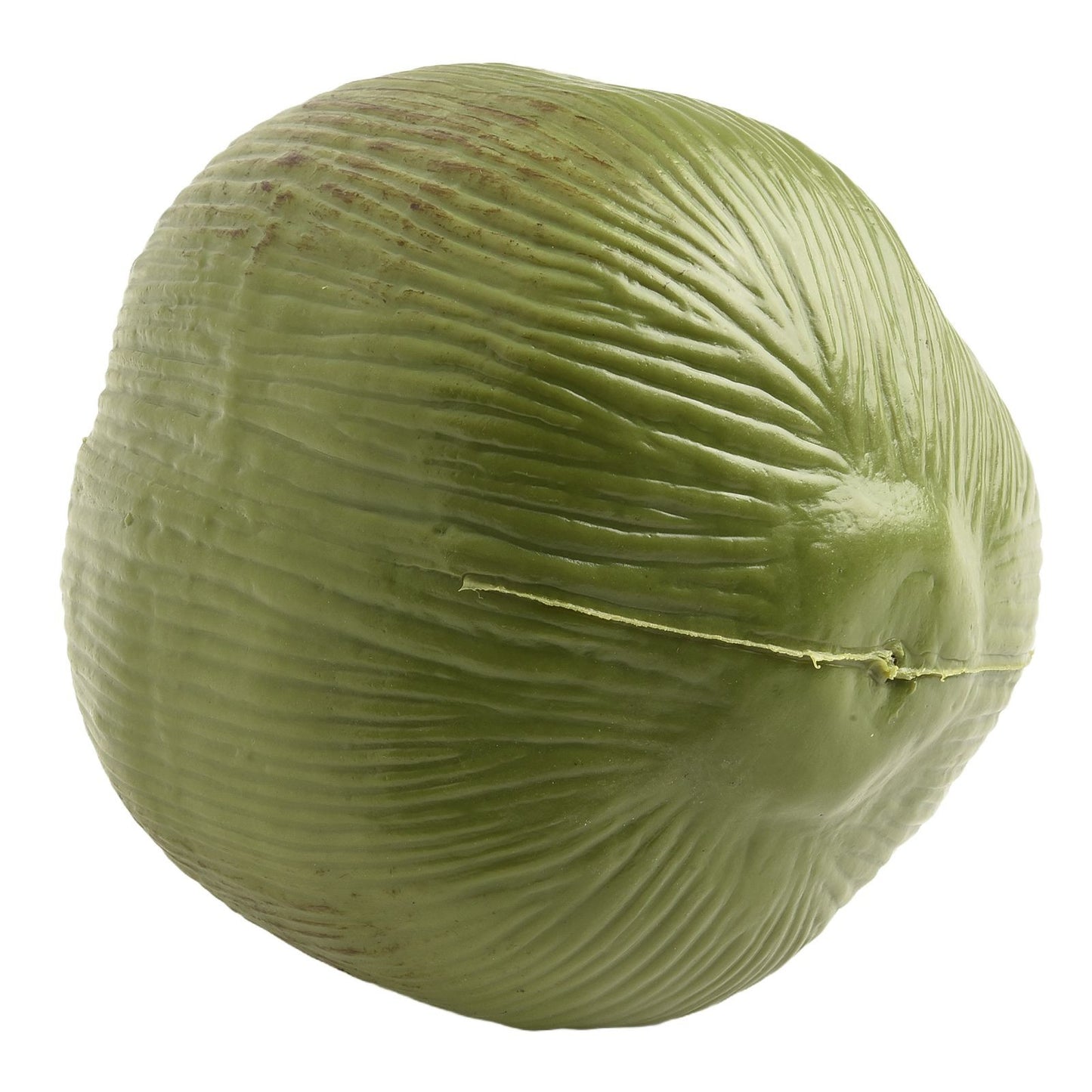 Note Package Content Farmhouse Decor Artificial Coconut Realistic Appearance