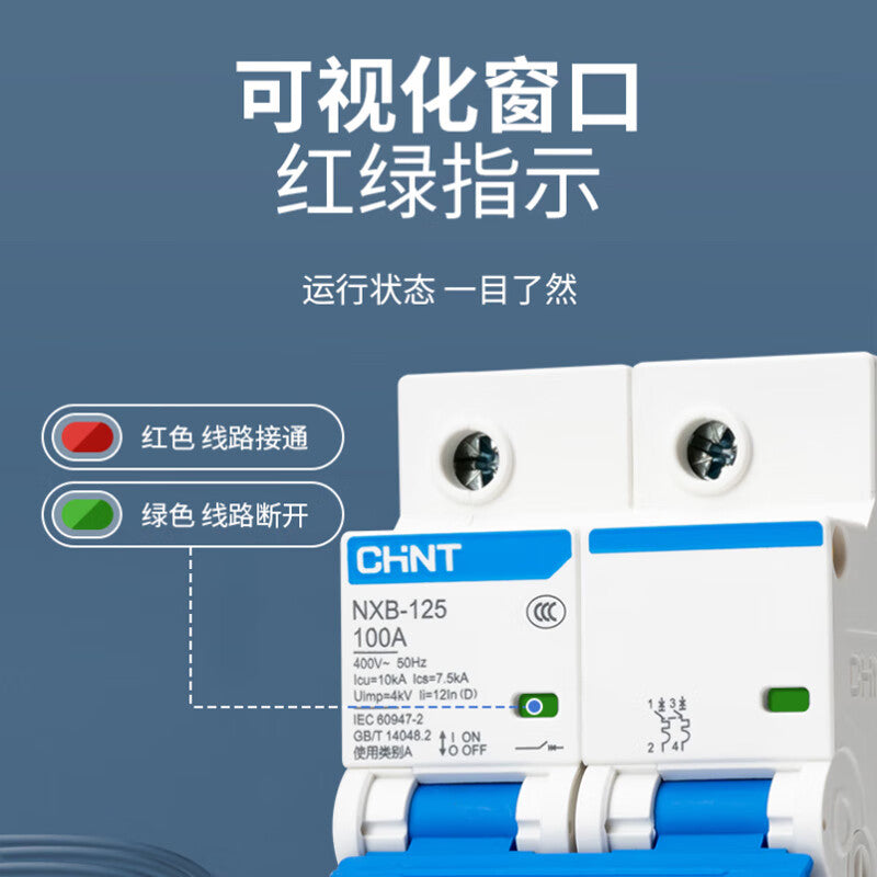 Chint NXB-125 3P D Type Miniature Circuit Breaker 125A