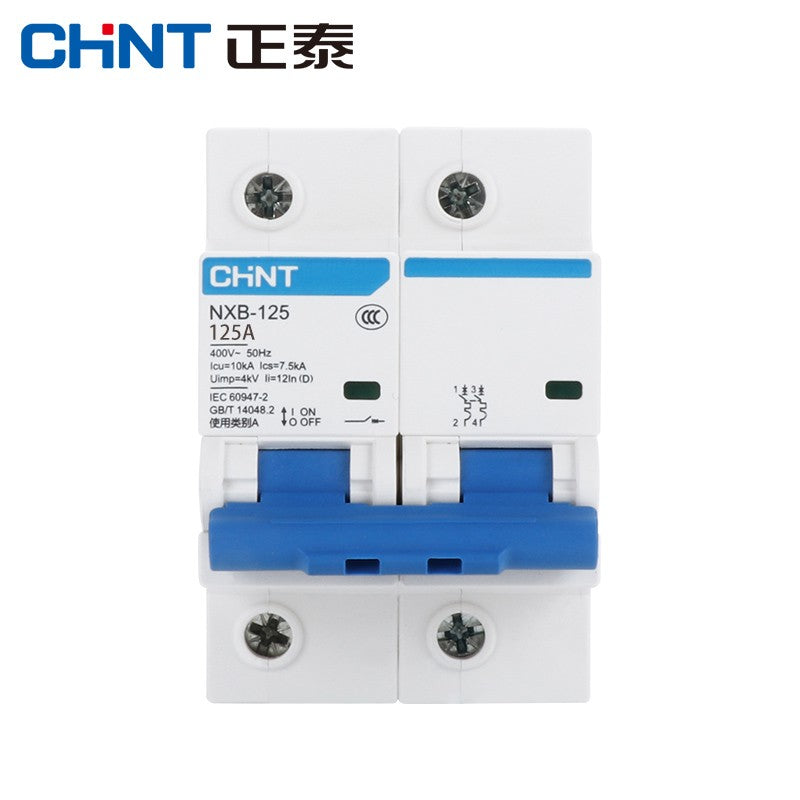 Chint NXB-125 2P 125A Circuit Breaker Air Switch