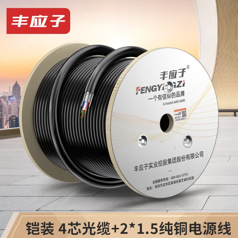 Fengyingzi Fiber Optic Composite Cable, Armored 4-Core Single-Mode Outdoor Fiber Optic Cable with Power Supply, Oxygen-Free Copper, 100m, FYZ-GYXTW-4B1-2*1.5