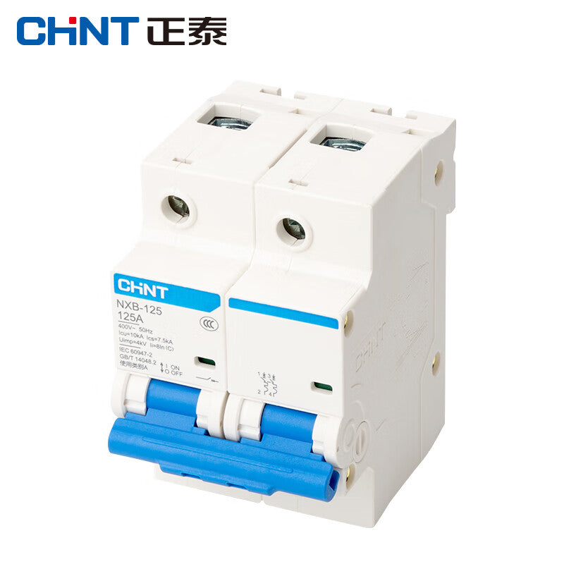 Chint NXB-125-2P-C125 Air Switch Circuit Breaker