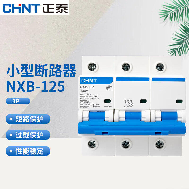 Chint NXB-125 3P D Type Miniature Circuit Breaker 125A
