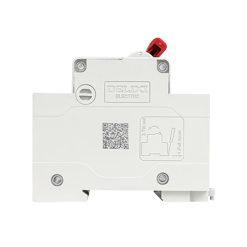 DELIXI DZ47S-125 2P D80 Air Circuit Breaker Main Switch