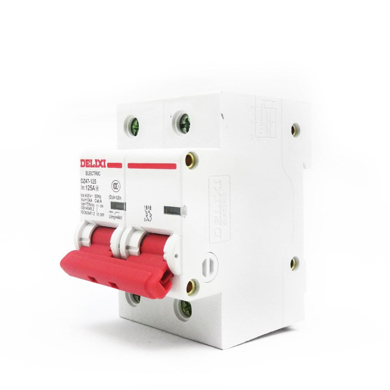 Delixi standard circuit breaker DZ47-125 2P li(C) 100A; DZ471252C100