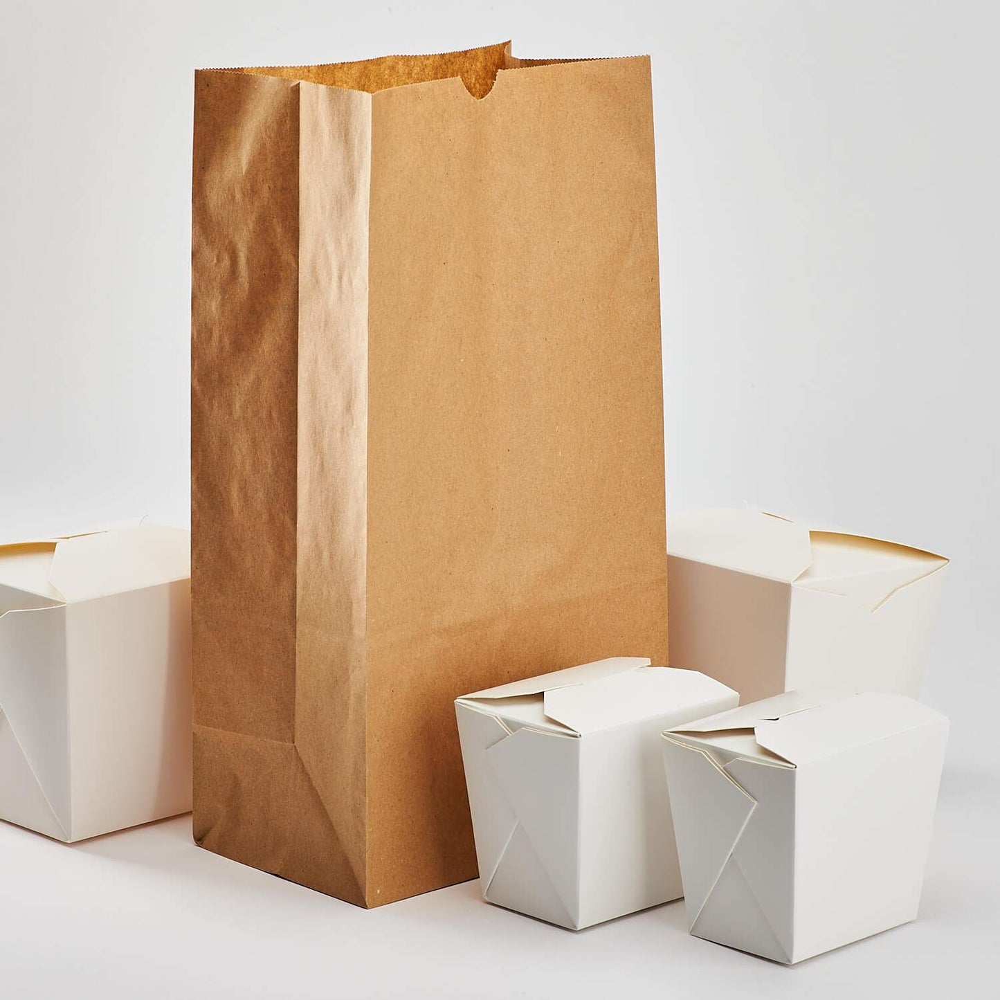 Heavy-Duty Paper Lunch Bags, 12lb Kraft - 1,000 Count Bulk Pack, Self-Standing