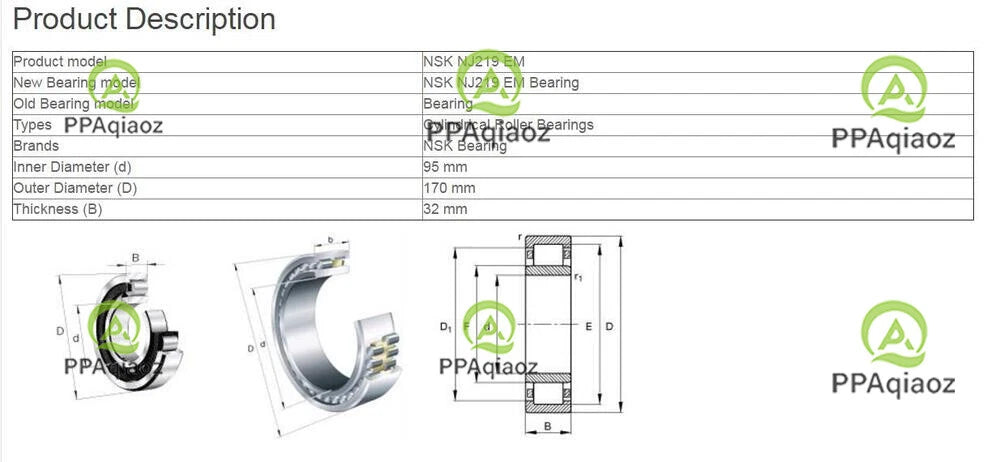 1PC NSK NJ 219 EM Cylindrical Roller Bearings 95x170x32mm #P