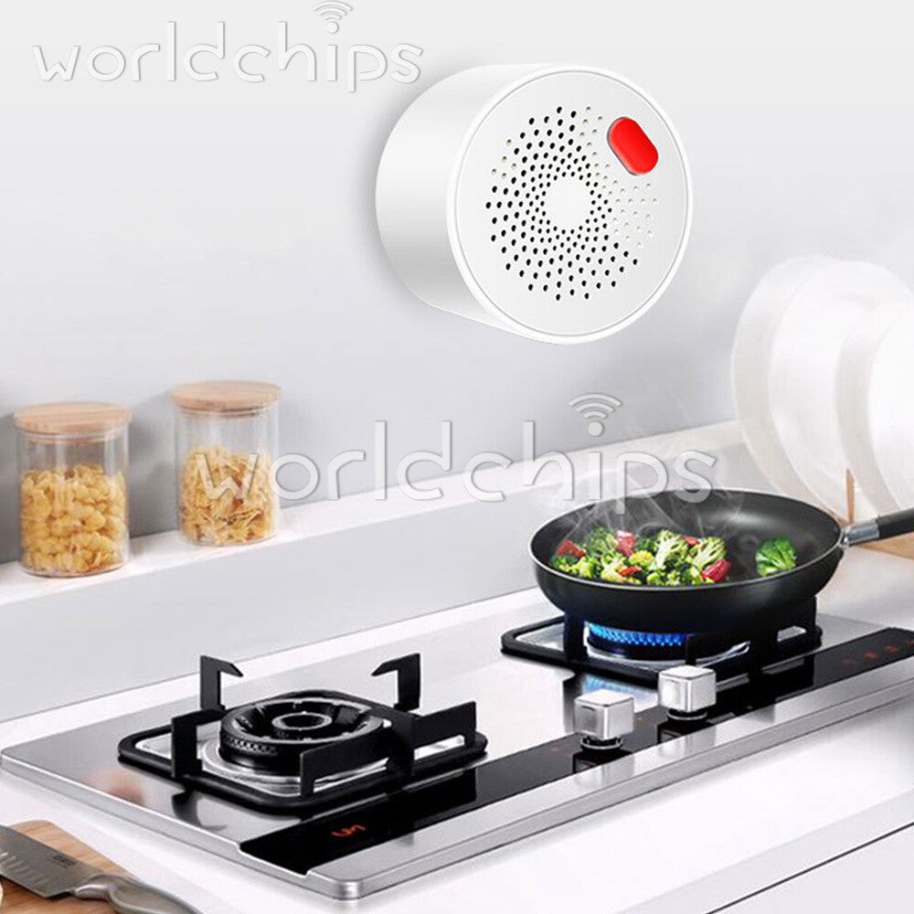 Natural Gas Sensor Combustible /Household Smart WiFi Gas Detector Leakage Alarm