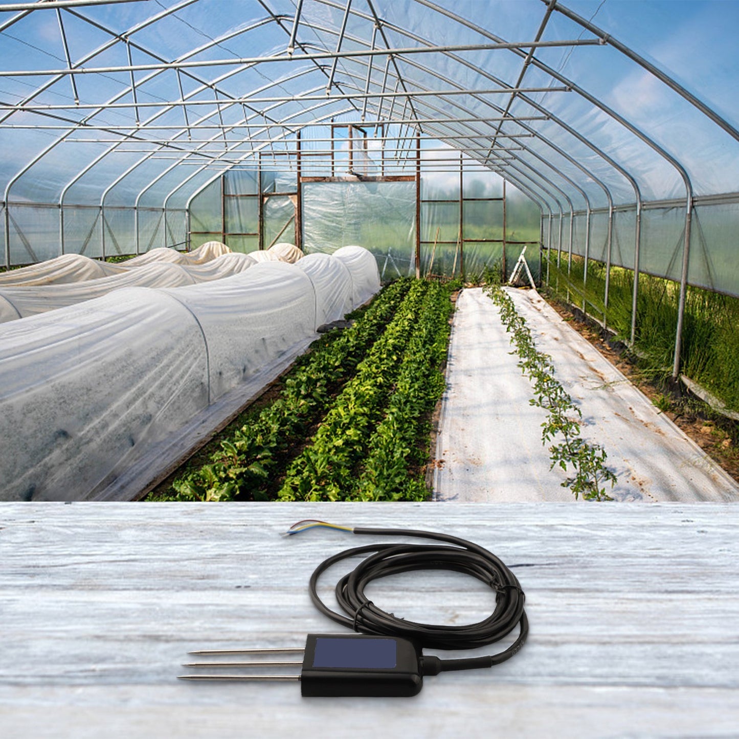 RS485 Soil Sensor Data Refresh Time ��1s Fast Response Flexible Signal Output